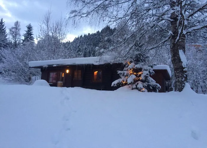 Domek alpejski Im Brixenthal I
